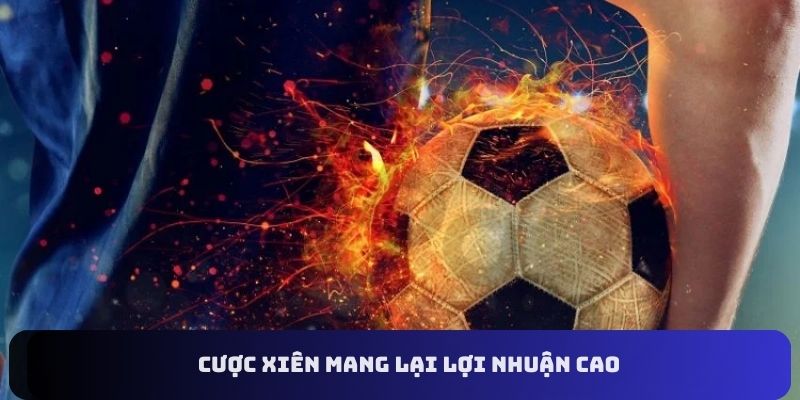 Cược xiên mang lại lợi nhuận cao 